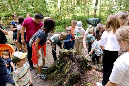Kinder im Wald
