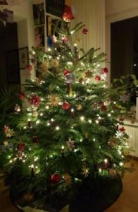 Weihnachtsbaum